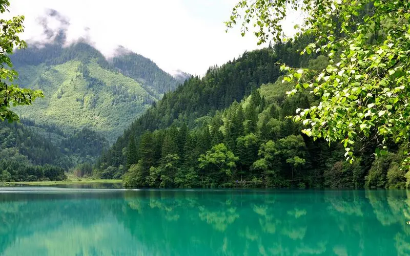 高效智慧高端